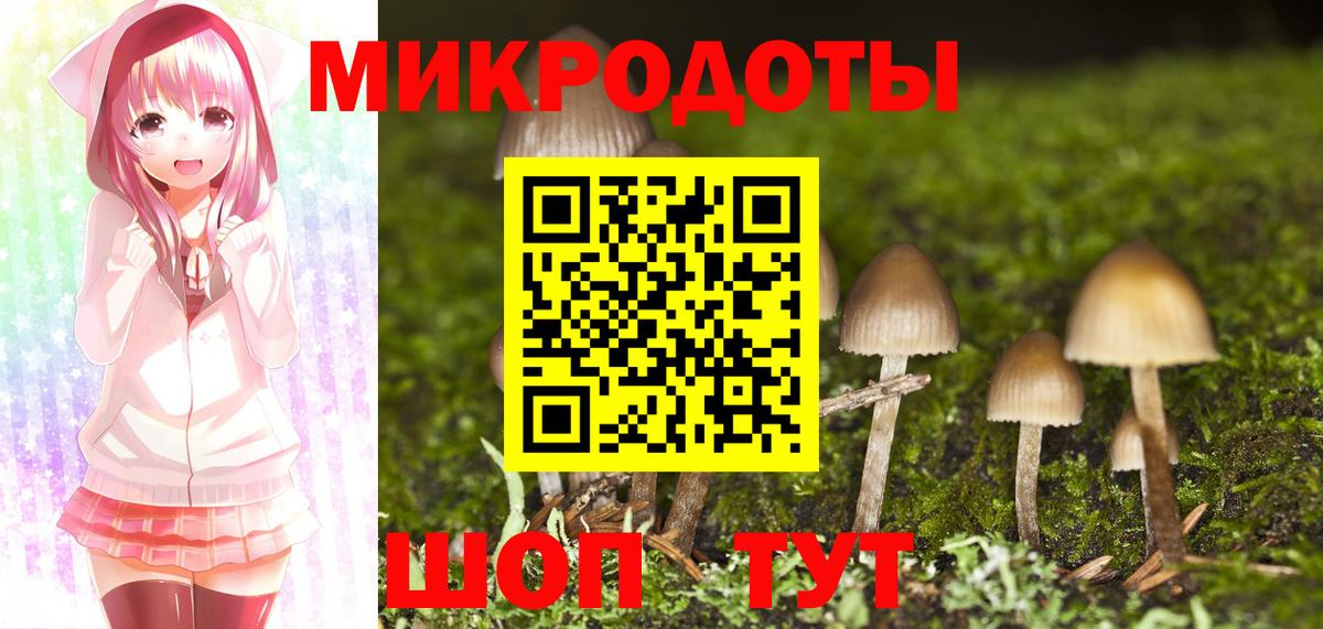 где купить наркоту  Псилоцибиновые грибы мицелий  Вход с VPN  Тула 