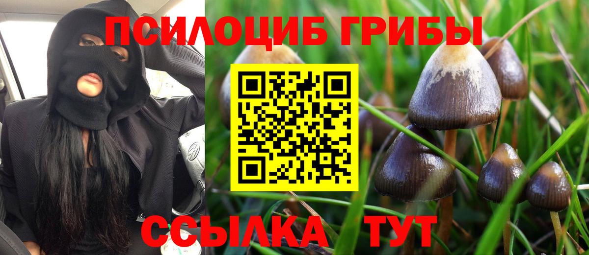 MDMA  Гашиш  КОКАИН  Метамфетамин  LSD-25  Каннабис  Марихуана  НБОМе  Тула  Кодеин  Меф кристаллы  Вход с VPN 